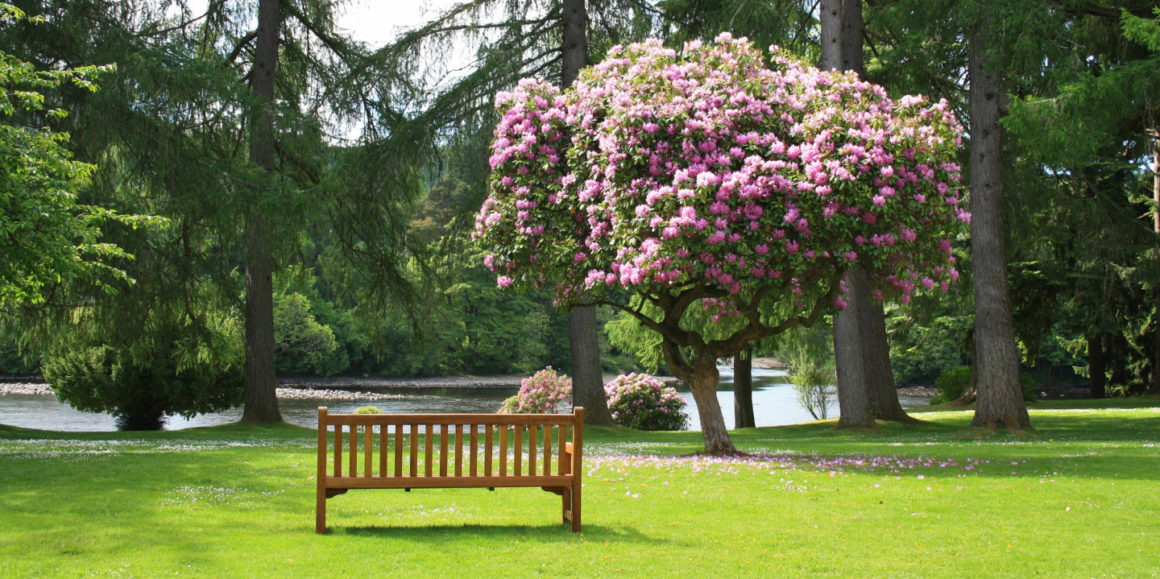 Besuchen Sie die historischen Parks „Gartenträume“ in Sachsen-Anhalt